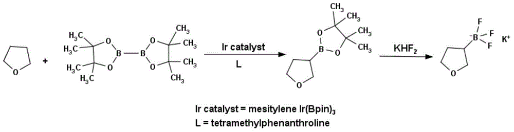 Method for preparing tetrahydrofuran-3-potassium trifluoroborate