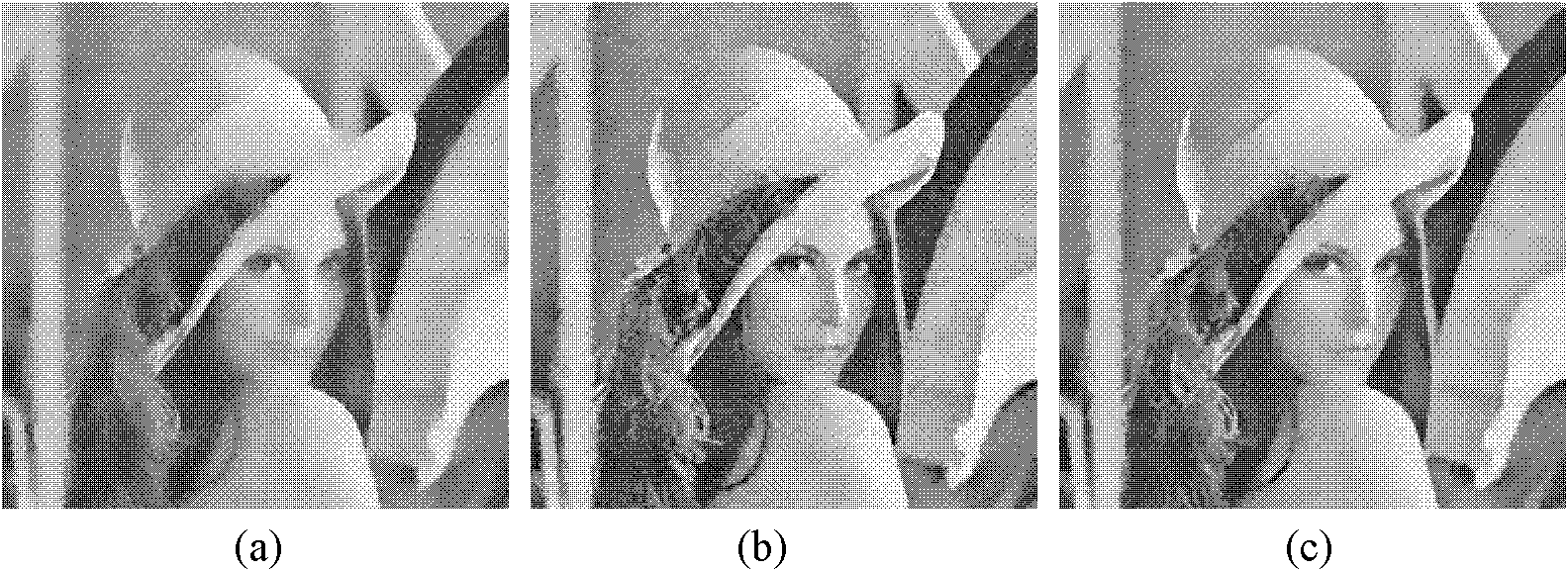 Image denoising method based on Treelet and non-local means