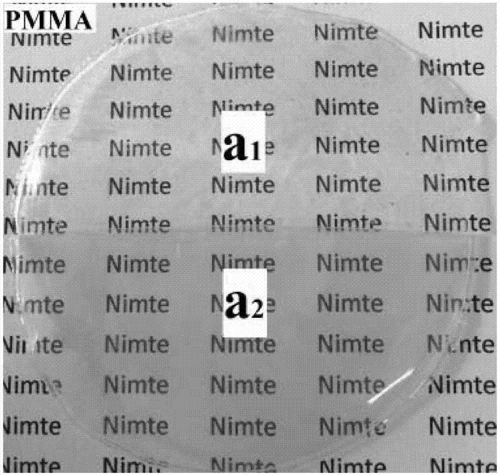 A kind of branched polyquaternium salt and its synthetic method