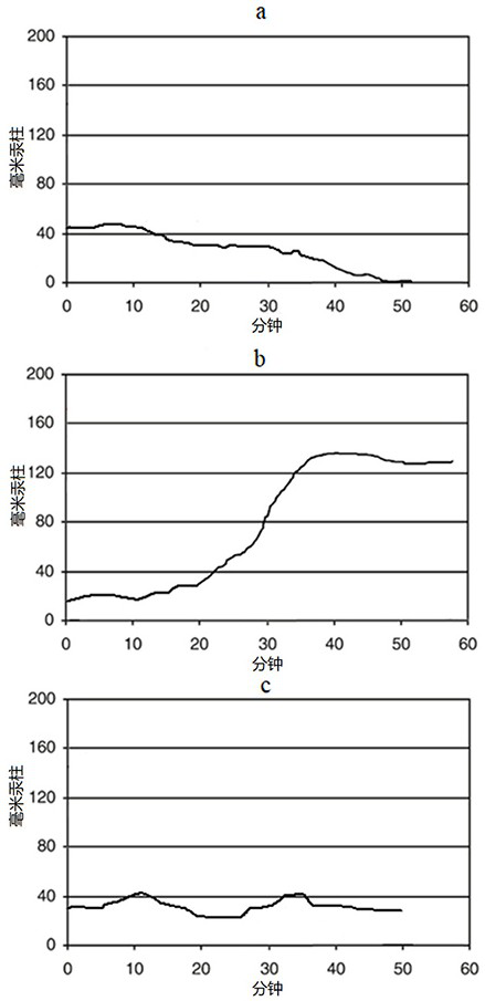 Multi-organ chip and application thereof in drug evaluation