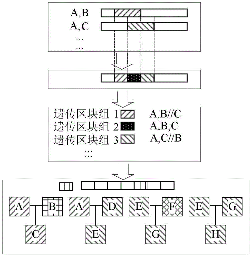 Device and method for inferring sources of chromosome regions in pedigree