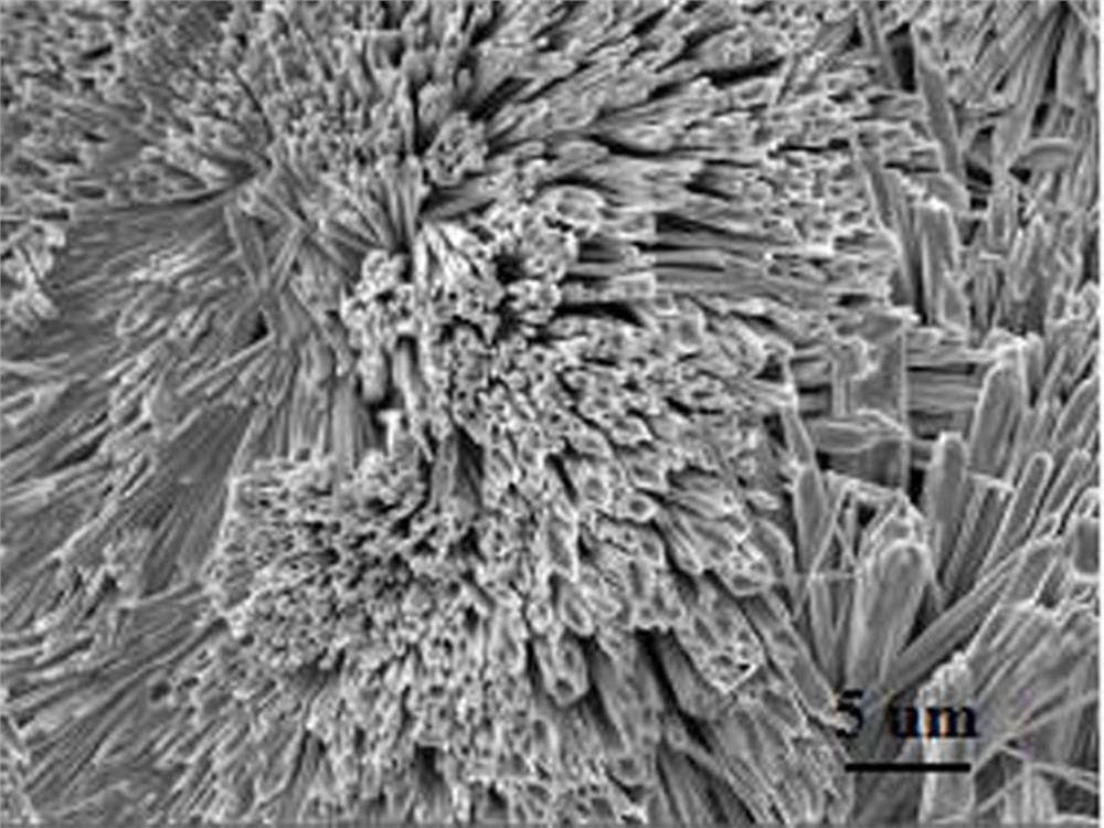 A kind of preparation method of perovskite film with microtube array structure