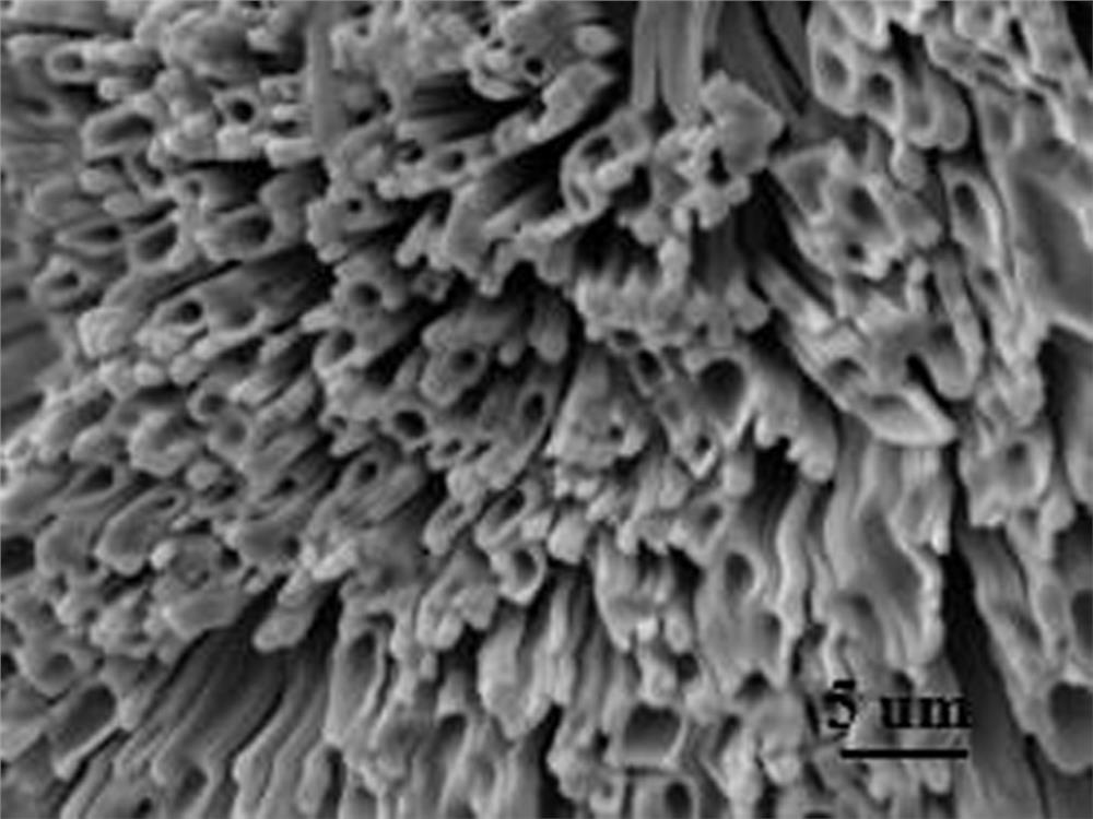 A kind of preparation method of perovskite film with microtube array structure