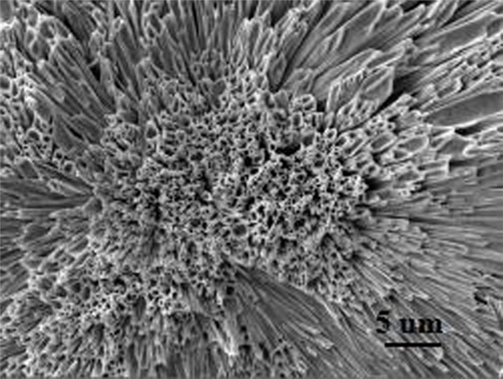 A kind of preparation method of perovskite film with microtube array structure