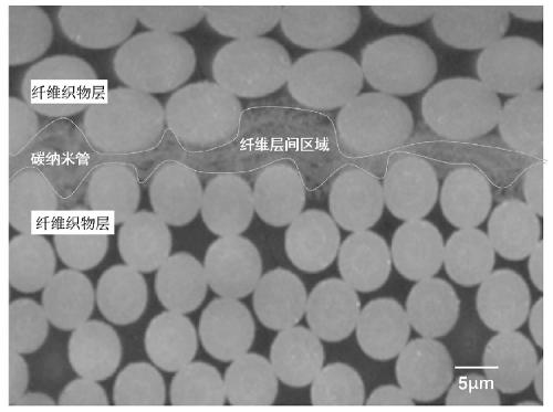 Weak impregnated prepreg of carbon-containing nanotube and preparation method thereof