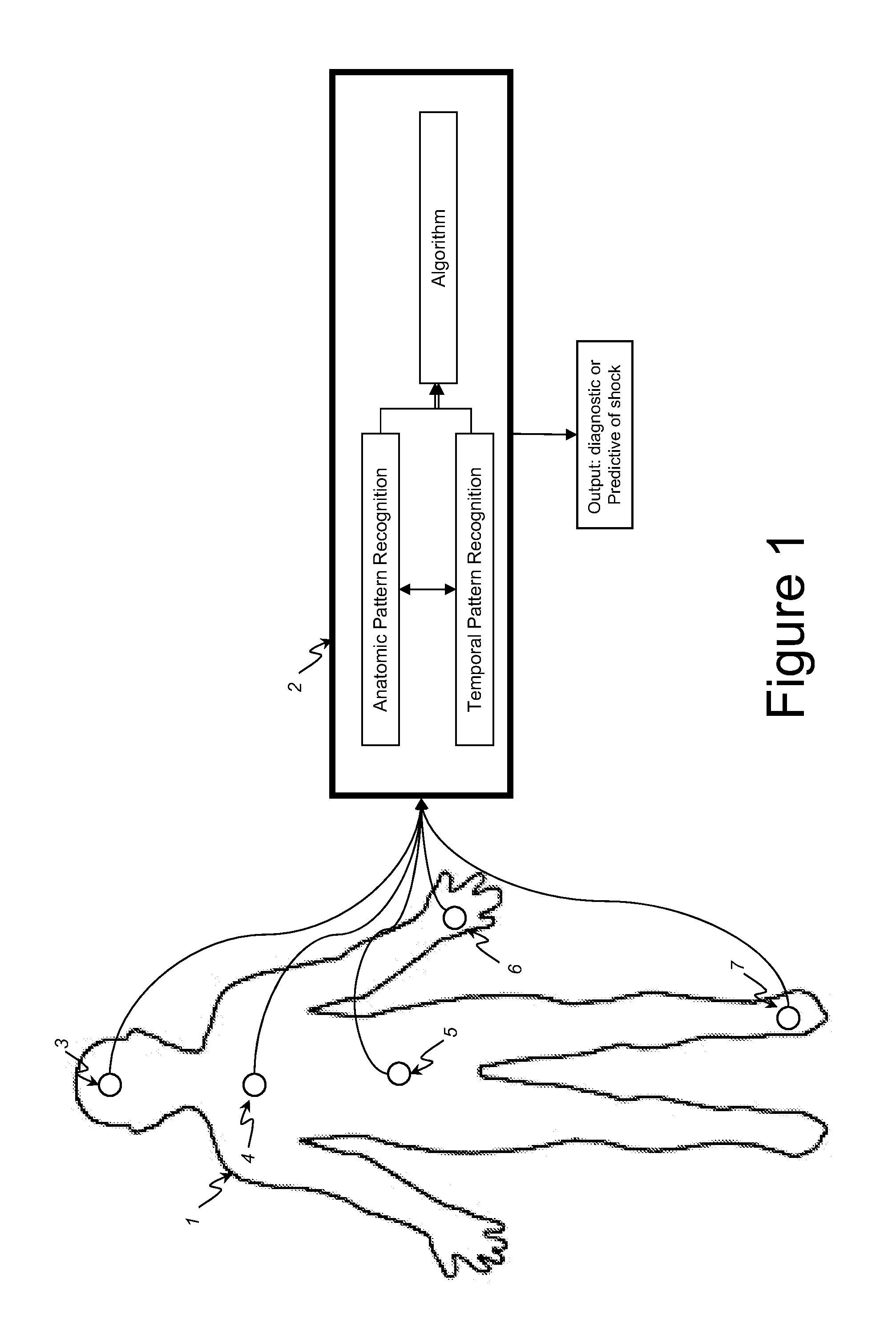 Method for the discovery, validation and clinical application of multiplex biomarker algorithms based on optical, physical and/or electromagnetic patterns