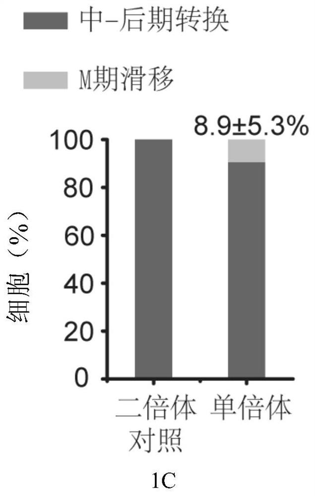 Use of protein kinase inhibitors in inhibiting diploidization of haploid cells