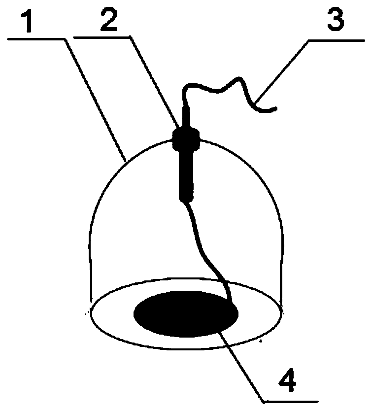 Hemodynamic parameter detecting system used in cupping therapy and therapeutic effect evaluation method for hemodynamic parameter detecting system