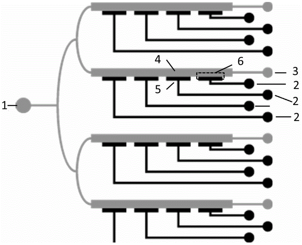 Method for establishing in-vitro blood-brain barrier model based on micro-fluidic chip