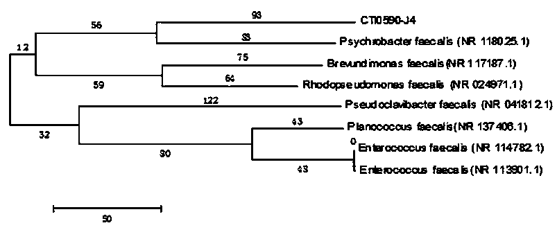 Method for degrading oily wastewater through PAM (Polyacrylamide)-SA (Sodium Alginate) immobilized microorganisms