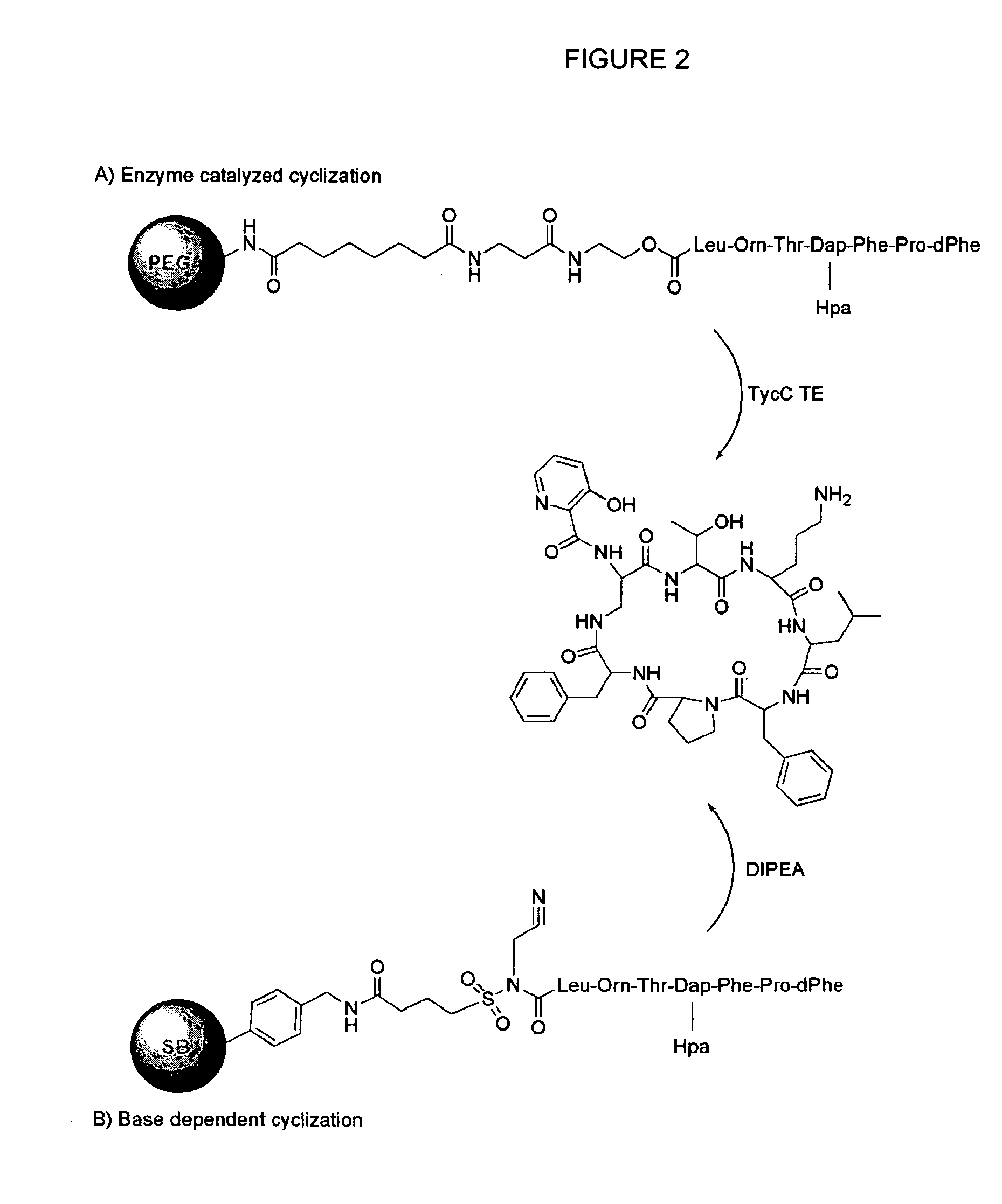 Streptogramin antibiotics