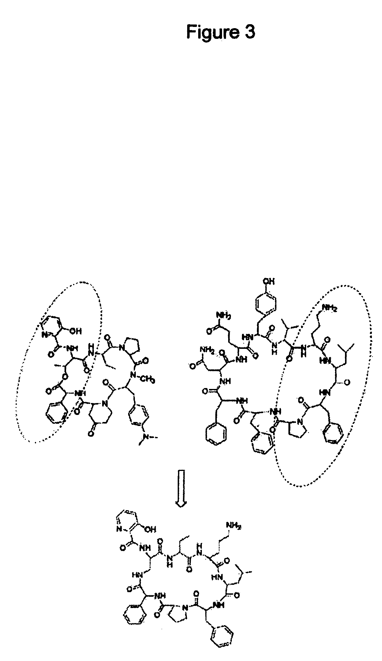 Streptogramin antibiotics