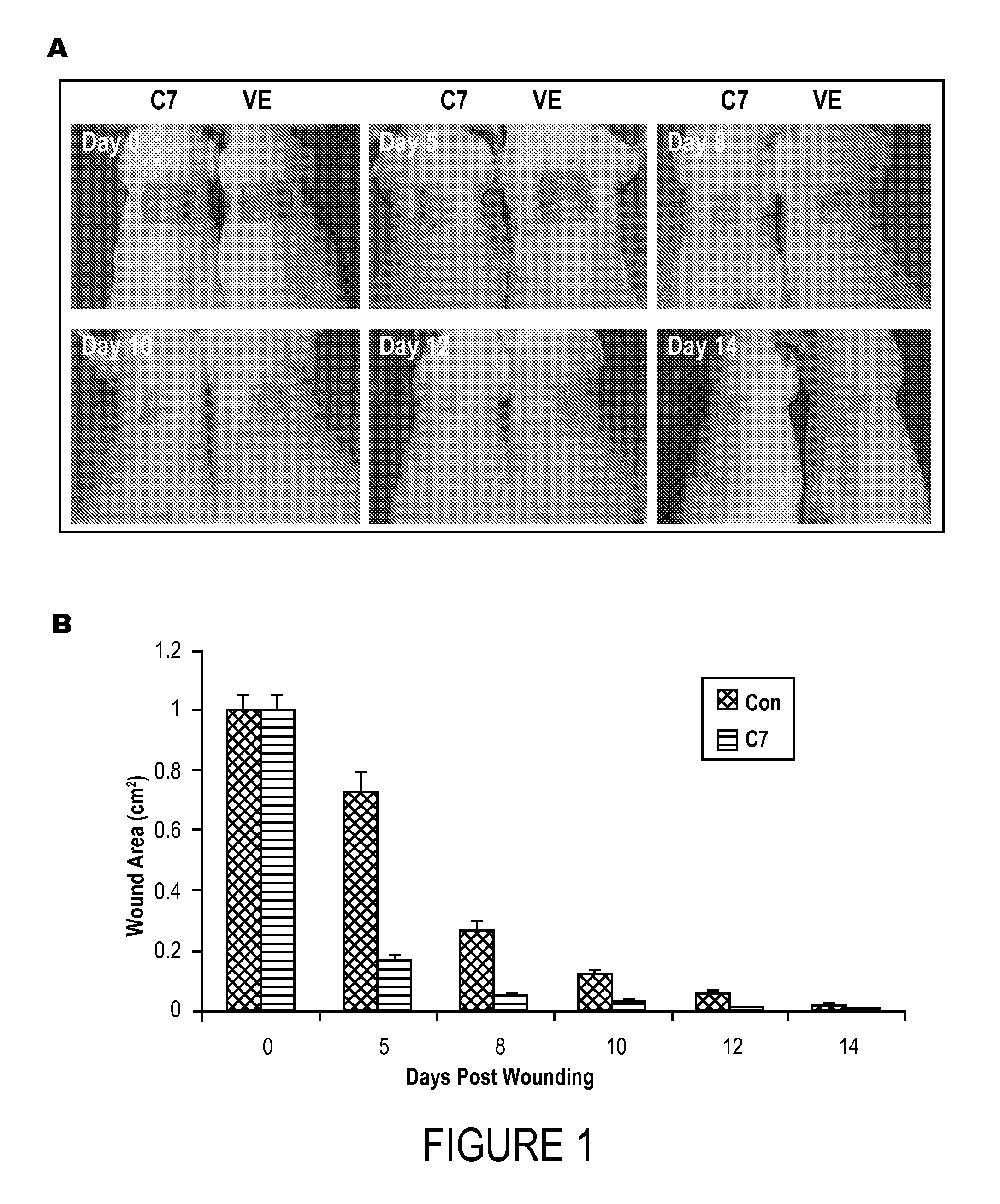 Composition and Method for Healing of Skin Wounds