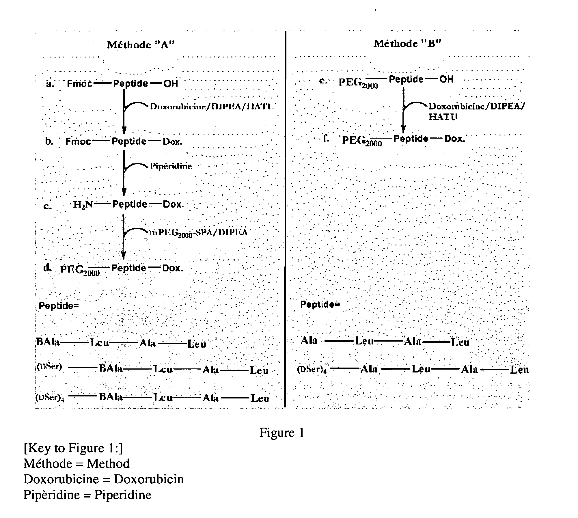 Potentialization of the activation of high molecular weight prodrugs