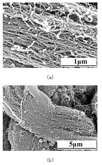 A modified aligned carbon nanotube bundle and its preparation method
