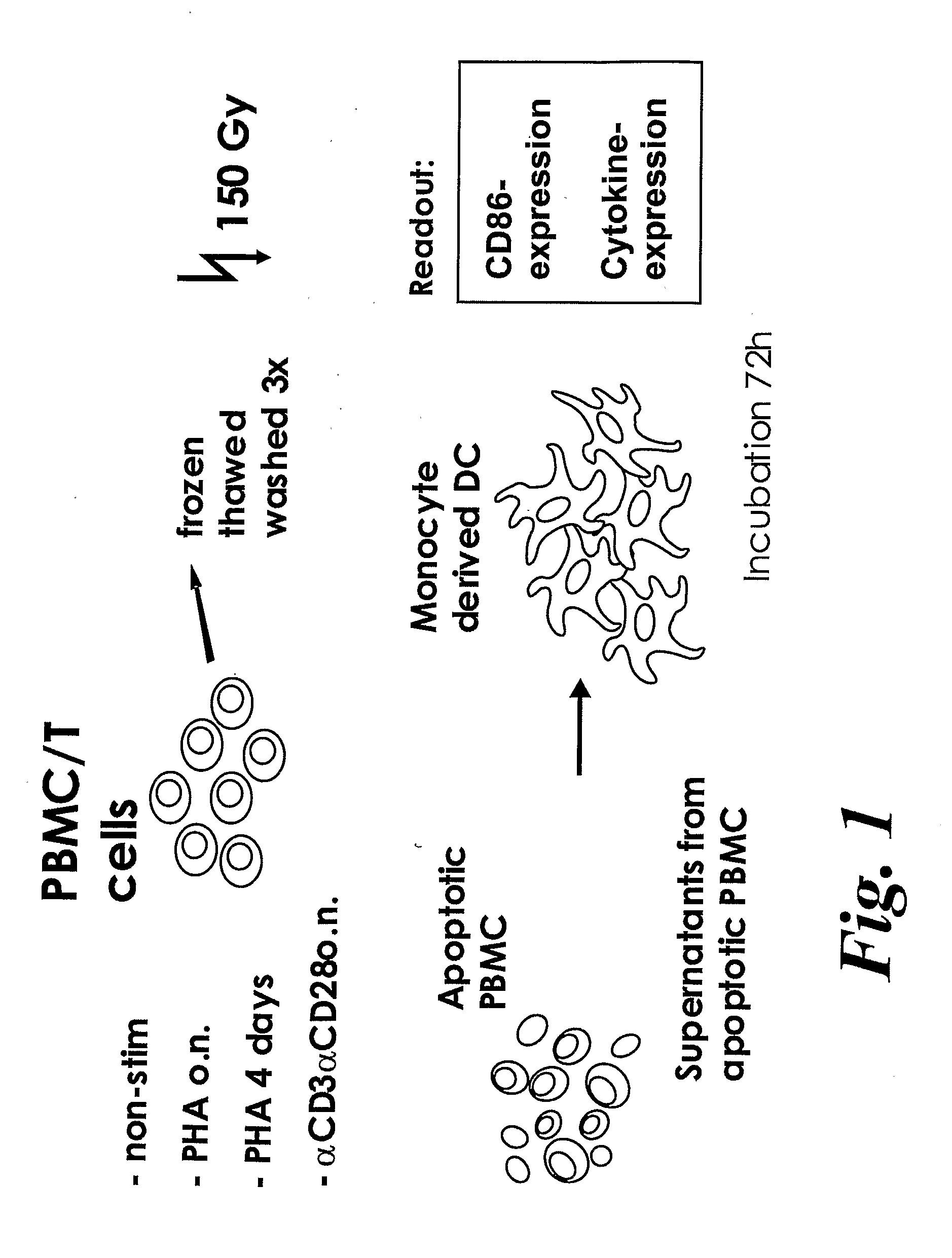 Novel Compositions and Uses Thereof