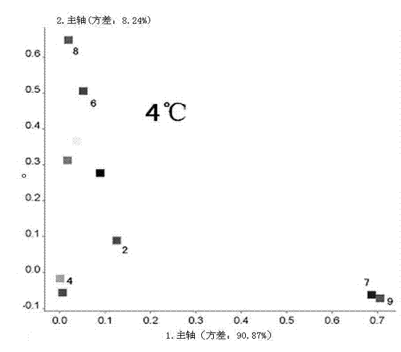 Method for detecting freshness of trichiurus haumela through electronic nose