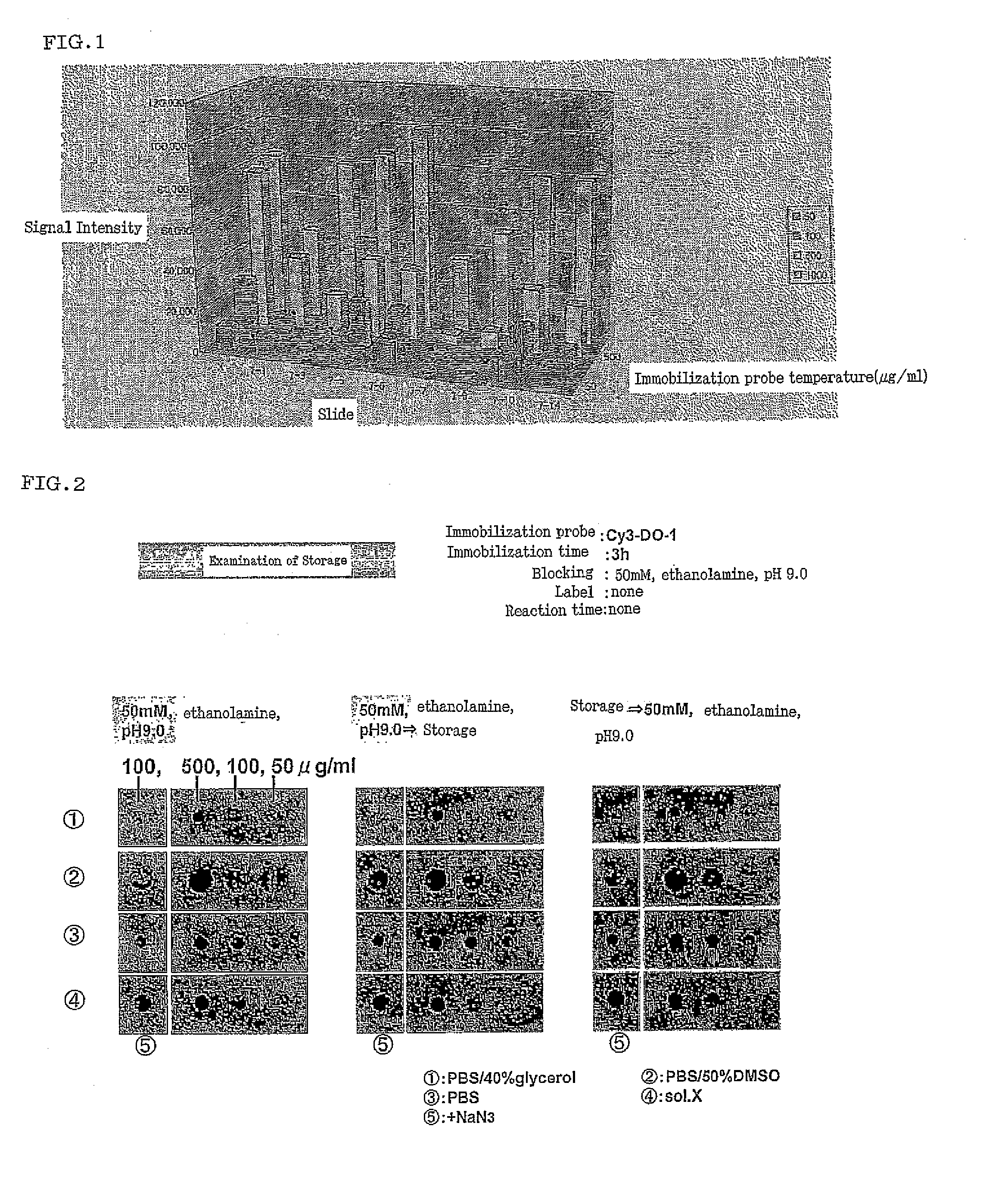 Monoclonal antibody specifically recognizing modification site after translation of p53 and kit for assaying modification site containing the same