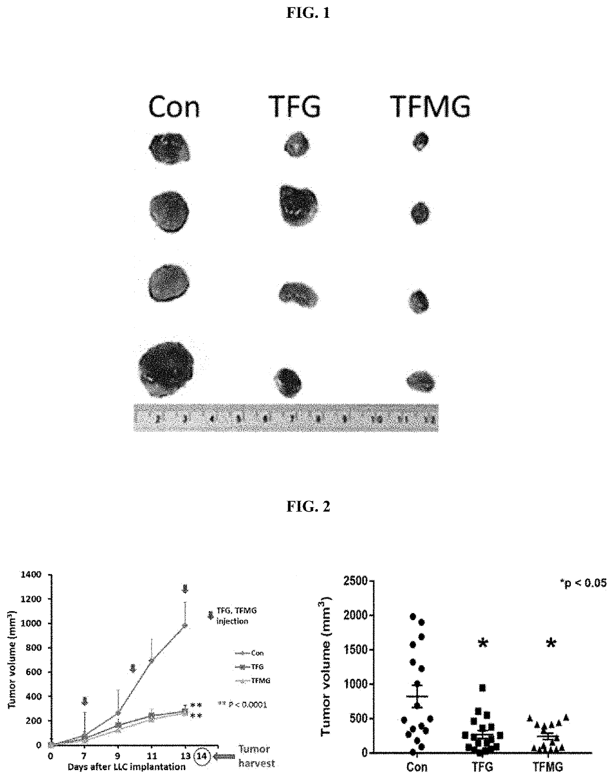 Composition for treating cancer or inhibiting cancer metastasis, including tfg or tfmg nanoparticles