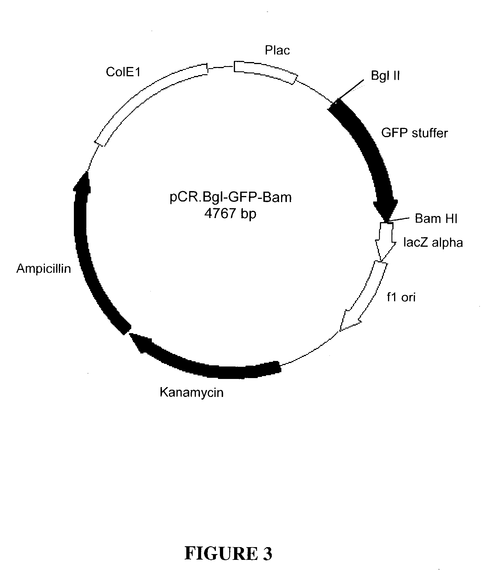 Synthetic genes and genetic constructs comprising same I