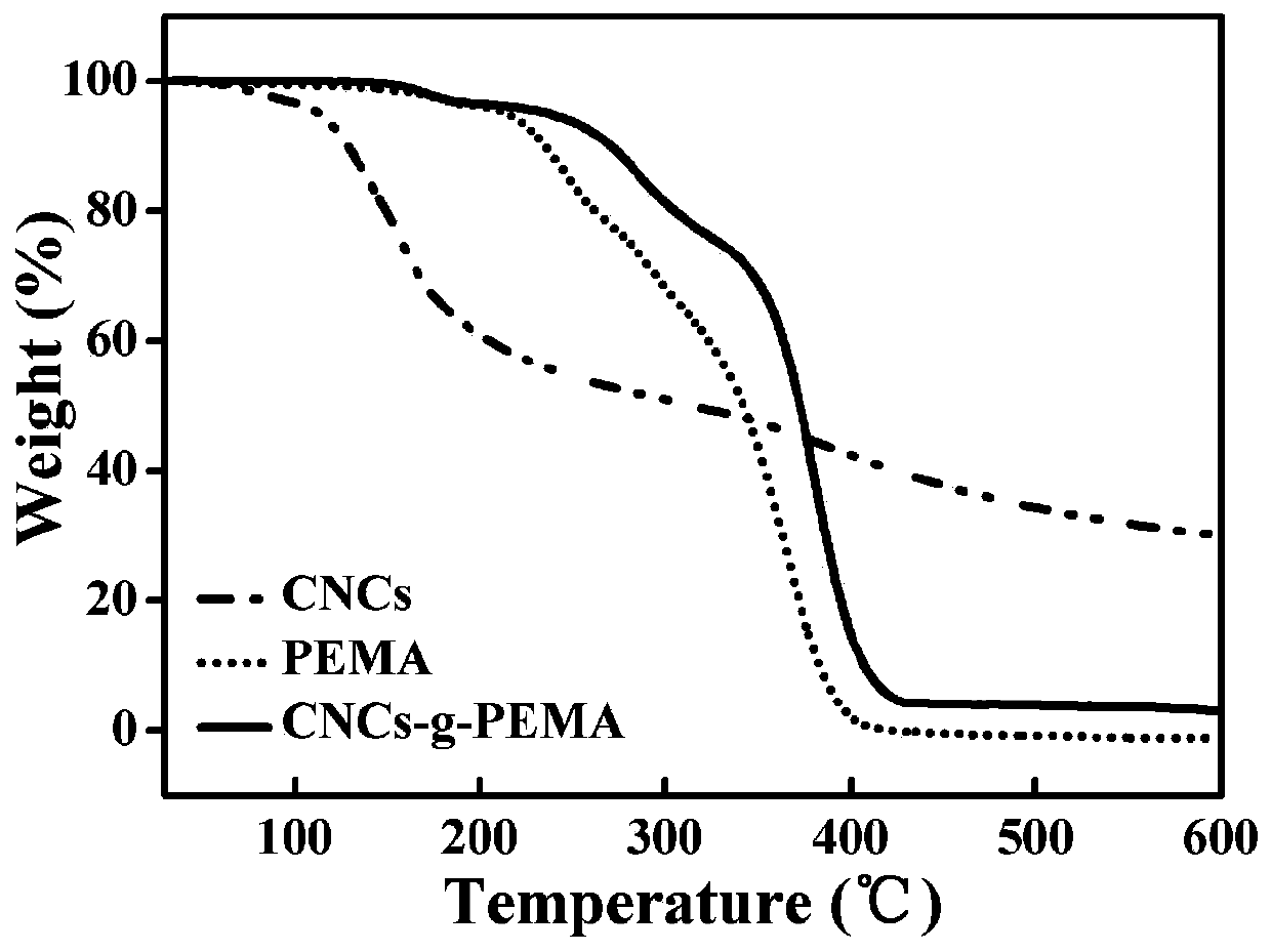 Cellulose nanocrystal hydrophobic porous powder and preparation method thereof