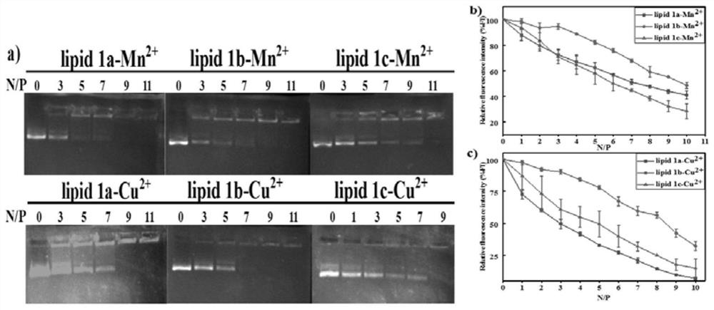 Novel aza-crown ether compound as well as cationic liposome, preparation method and application thereof