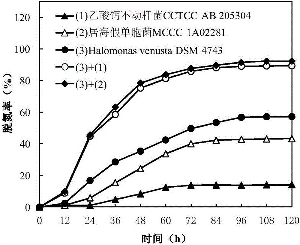 High-salinity nitrogen-containing wastewater stress resistance auxiliary nitrogen removal method