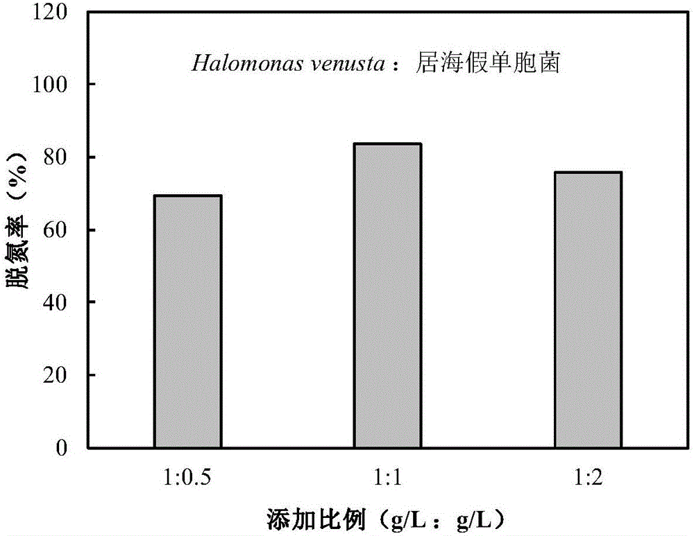 High-salinity nitrogen-containing wastewater stress resistance auxiliary nitrogen removal method