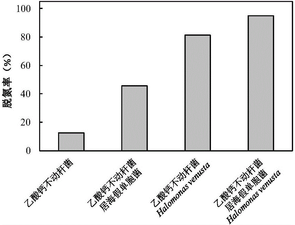 High-salinity nitrogen-containing wastewater stress resistance auxiliary nitrogen removal method