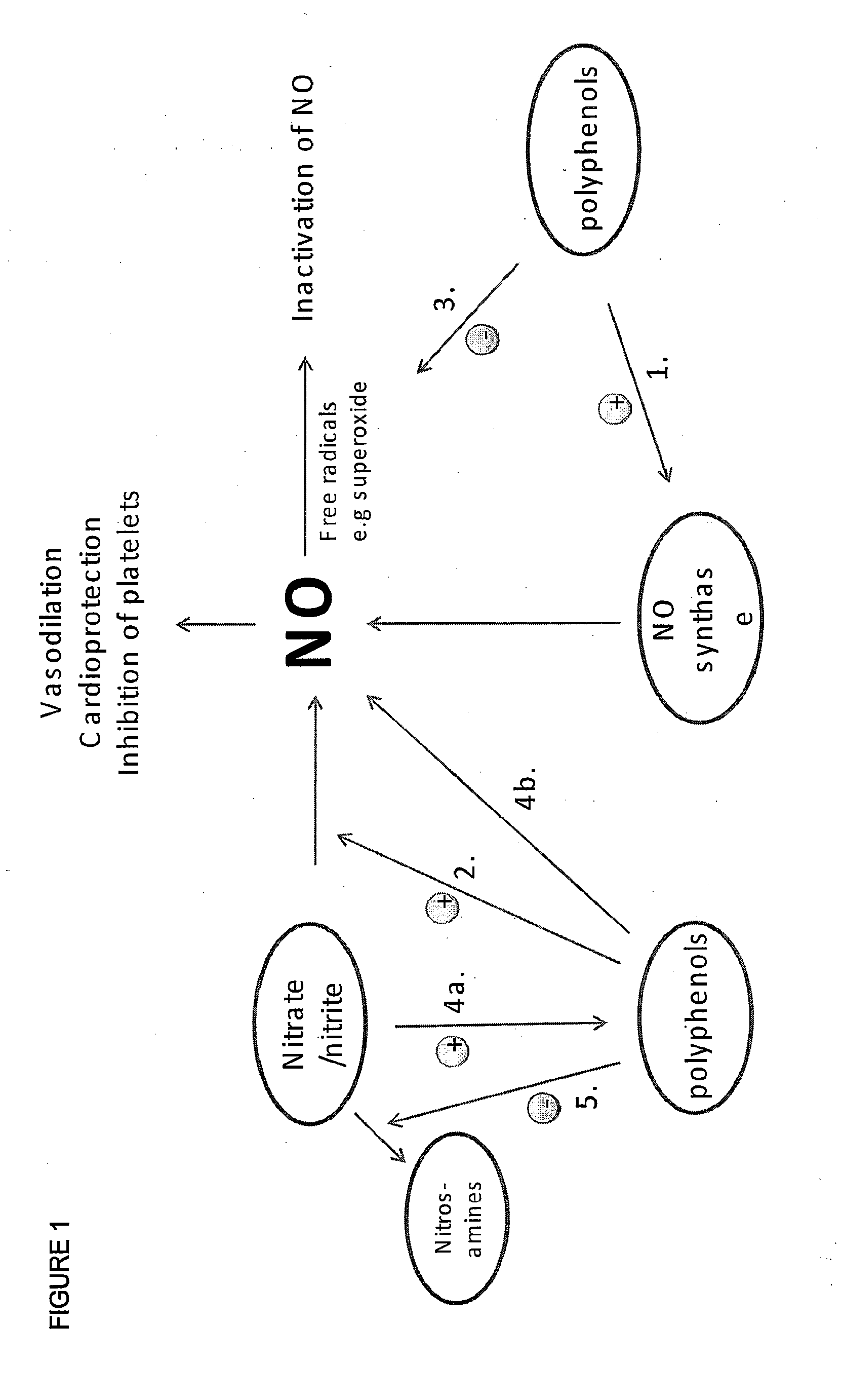 Performance enhancing composition and use thereof