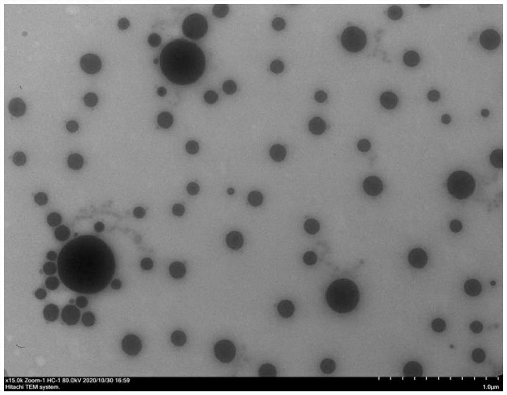 Preparation method of normal-temperature curing type micro-nano zinc long-acting antibacterial mildew inhibitor
