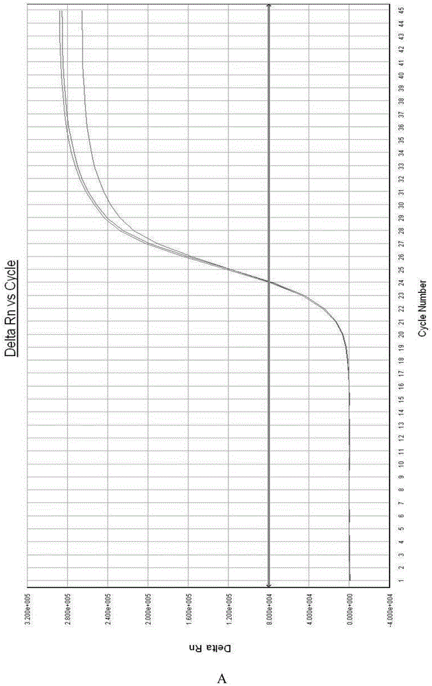 Liver cancer diagnostic reagent