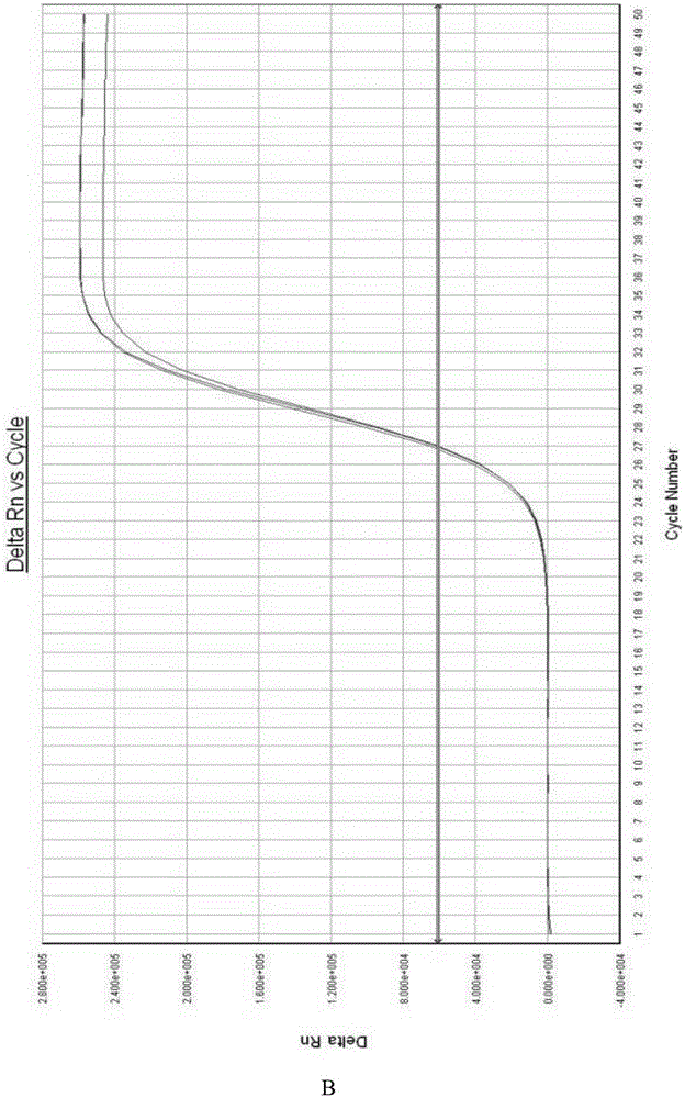 Liver cancer diagnostic reagent