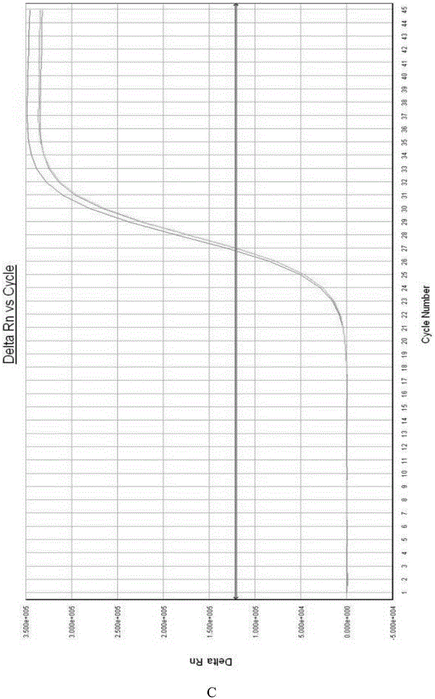 Liver cancer diagnostic reagent