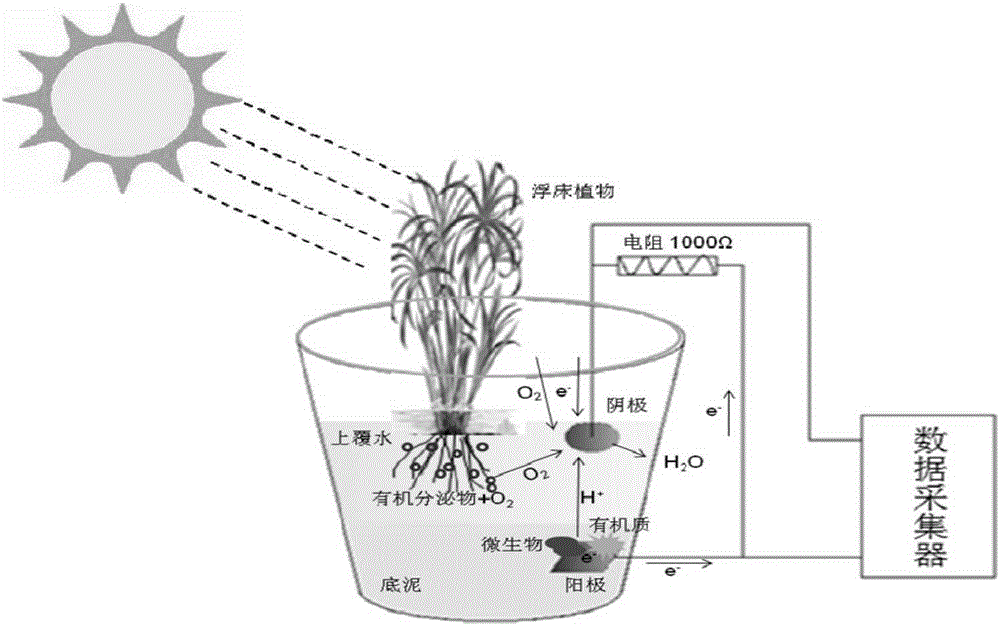 Floating-bed plant coupling sediment microbiological fuel cell water purification method