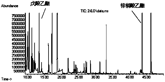 Gas chromatographic column large-volume injection technology and application thereof