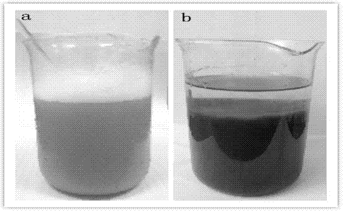 A kind of preparation method of graphene material