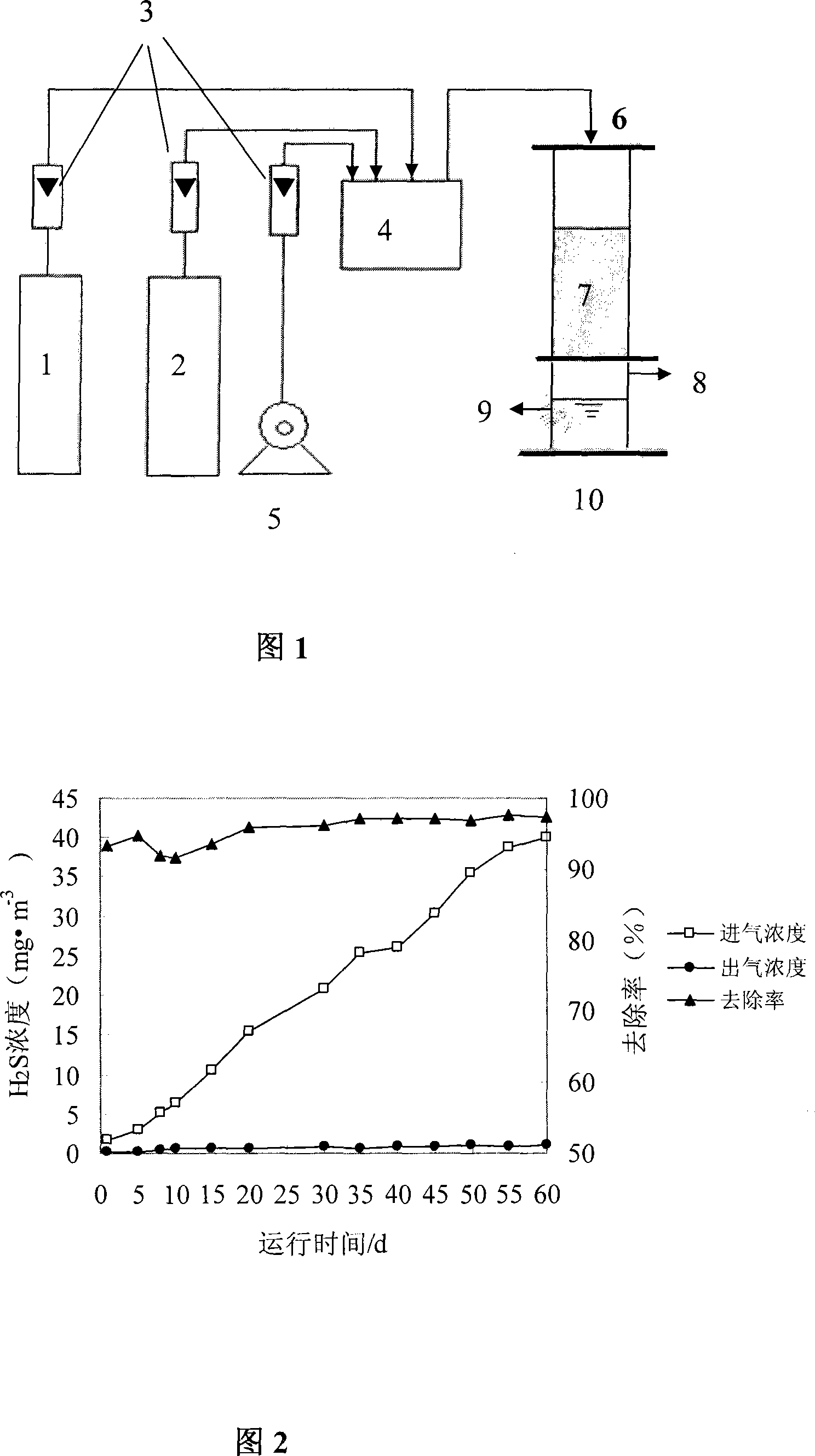 Microorganism synchronously removing ammonia and sulfureted hydrogen foul gas and method for preparing the same