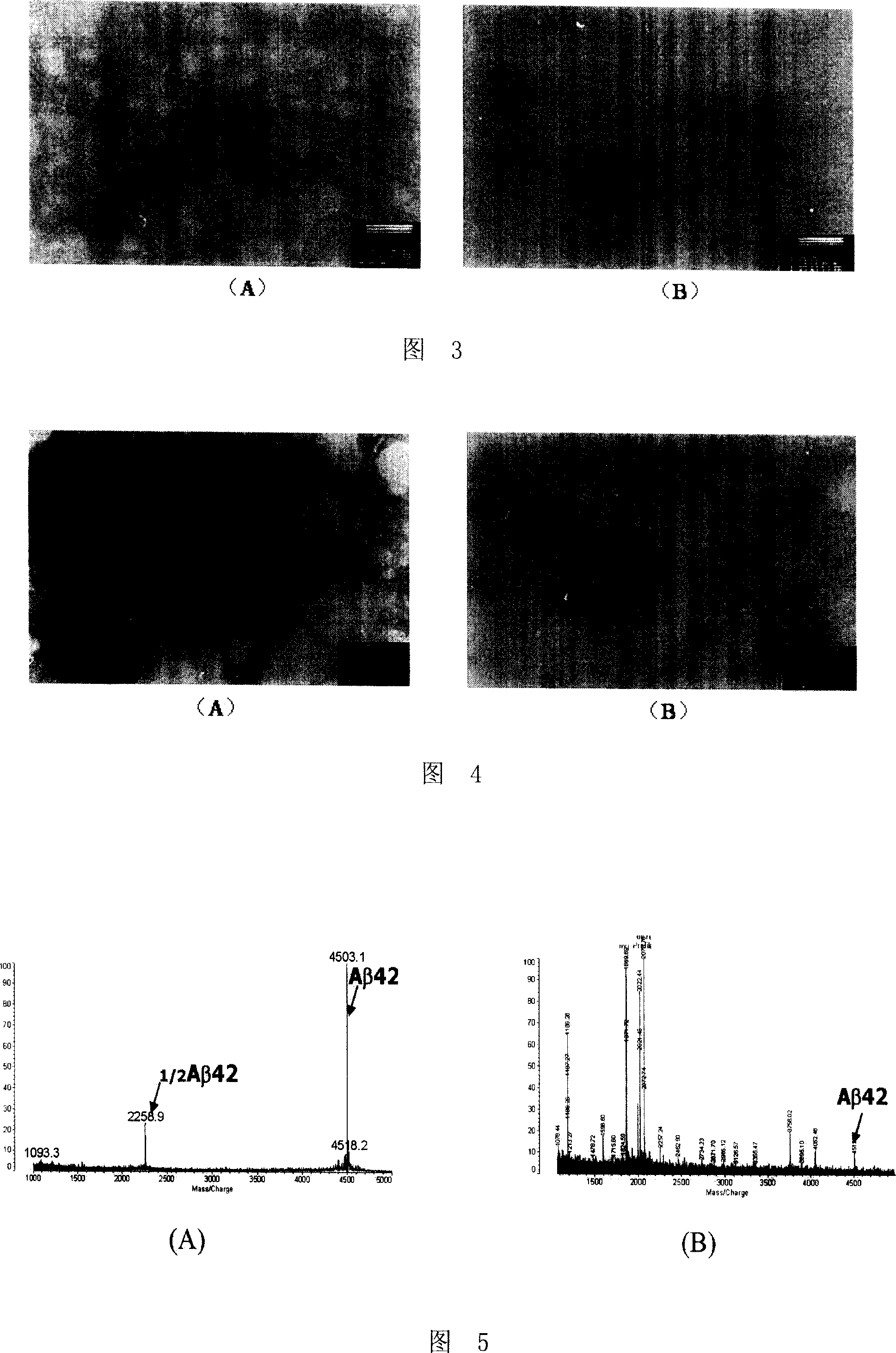 Polypeptide compound with aza-containing heterocyclic modified and its application