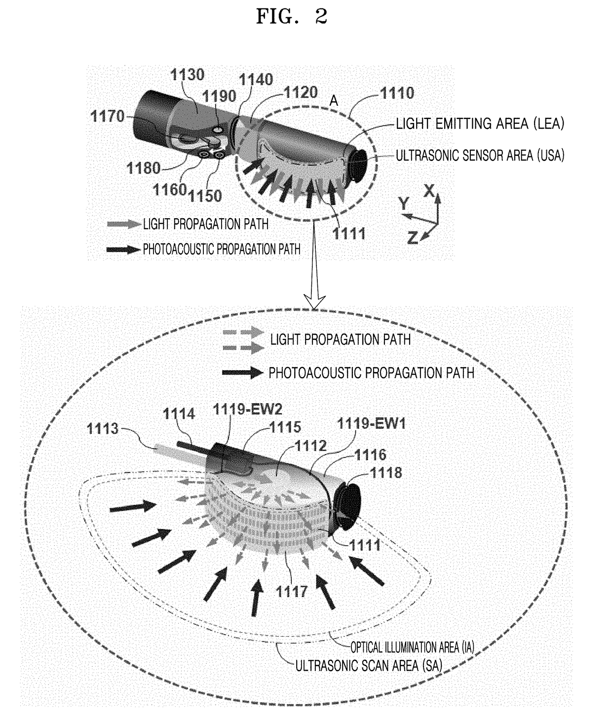 Array transducer-based side-scanning photoacoustic-ultrasonic endoscope