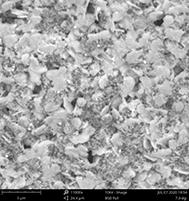 Preparation of porous graphene loaded low-light photocatalyst-nano-silver composite antiviral powder