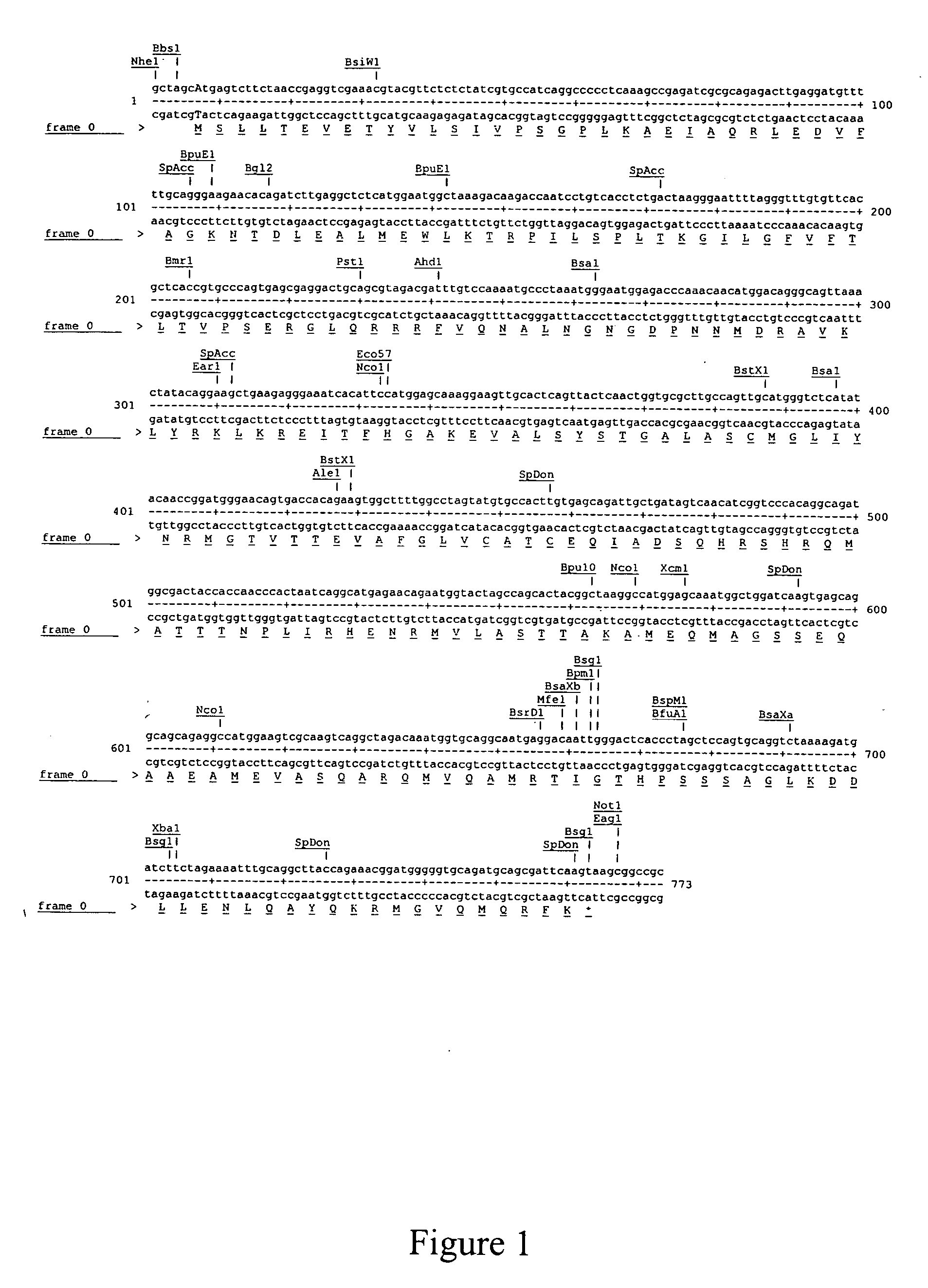 Immunotherapeutic compositions and methods