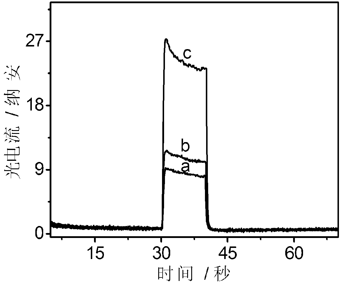 Method for constructing photoelectric chemical sensor for mercury ion detection