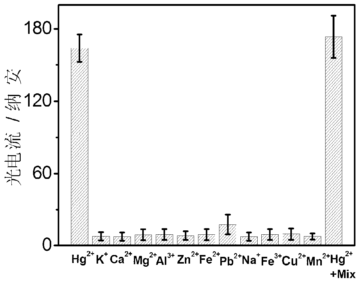 Method for constructing photoelectric chemical sensor for mercury ion detection