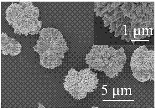 Method for preparing flower-shaped CuO microsphere and application of flower-shaped CuO microsphere in formaldehyde gas sensor