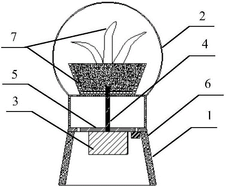 Plant air purifier