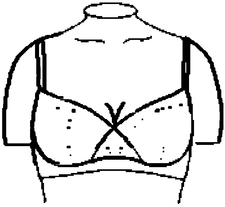 Garment with cups