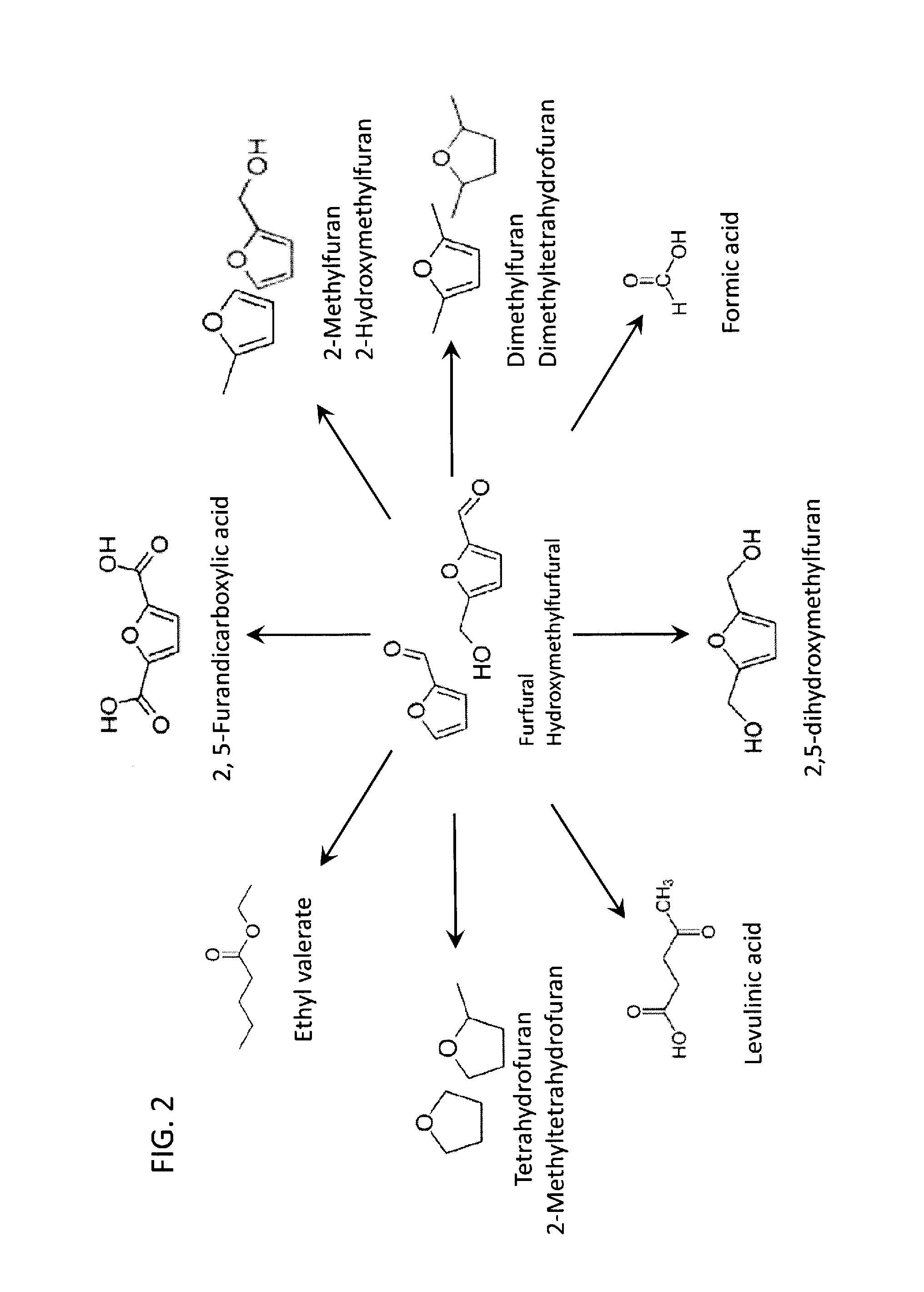 Method to convert monosaccharides to 5-(hydroxymethyl) furfural (HMF) using biomass-derived solvents
