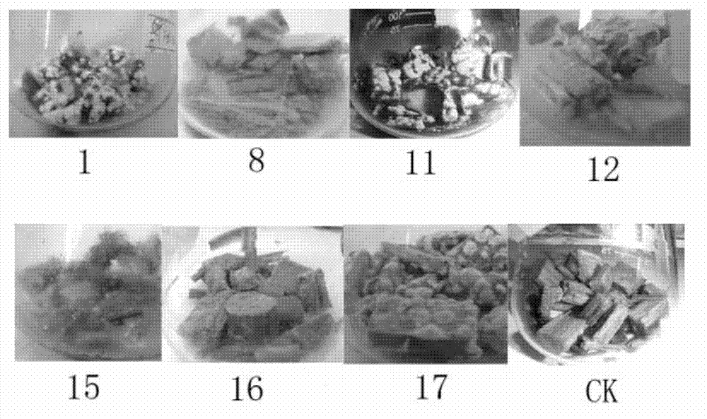Screening and domesticating method of composite microbial system for low-temperature degradation of straws