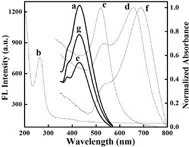 Thrombin detection method based on bio-dots and Au NPs fluorescence resonance energy transfer